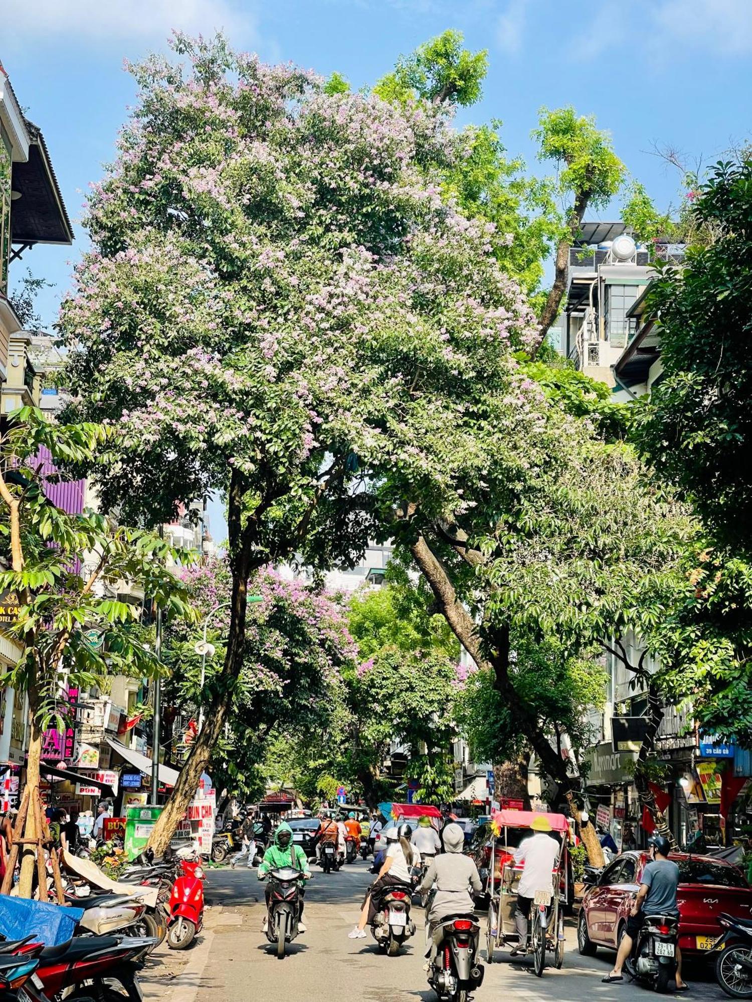 Old House Homestay Hanoi Exterior foto